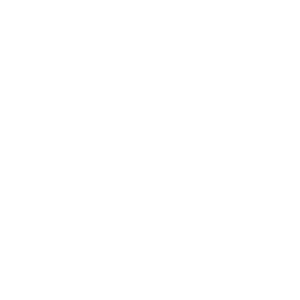 Veterinarian Icon