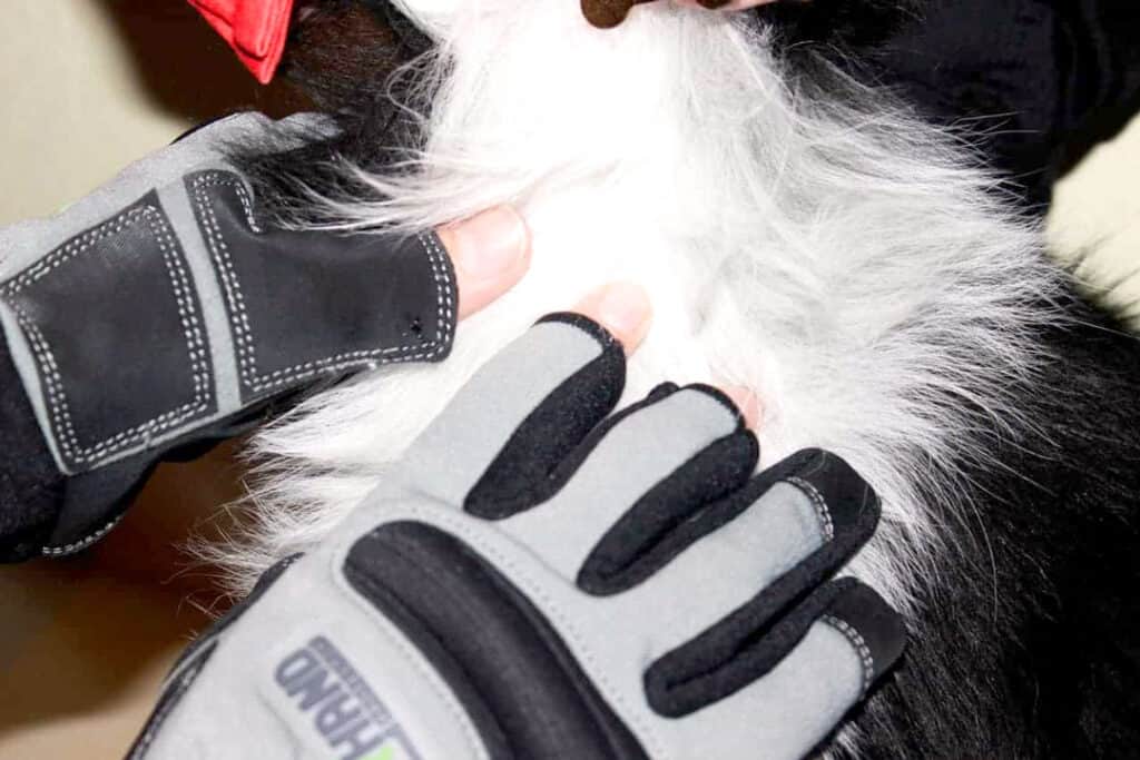 ProcedurePalpation Protective Gloves The ArmOR Hand Gloves® by Laura