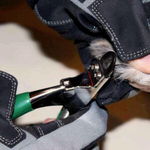 Product Armor Hand Glove Trimming Dog Nails