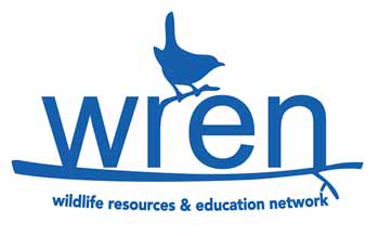 wren logo