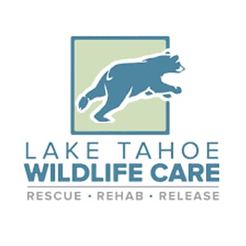 lake tahoe wildlife care logo