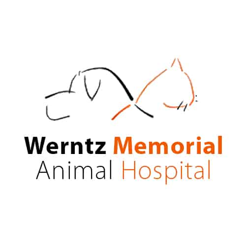 werntz memorial veterniary logo