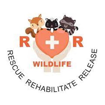 r n r wildlife rehabilitation inc