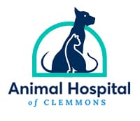 animal hospital of clemmons