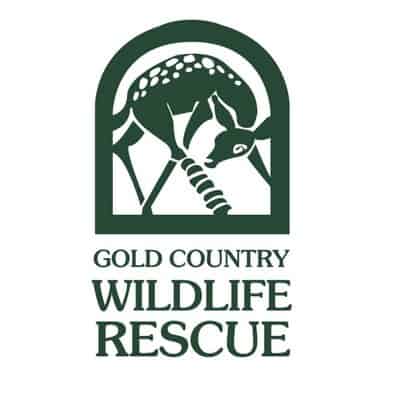 gold country wildlife rescue logo