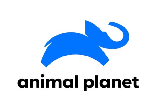 animal planet logo