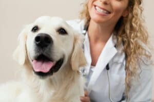 Veterinarian petting dog in office
