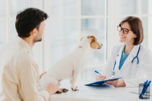 Vet checks pet in hospital, modern office, communicates with male host