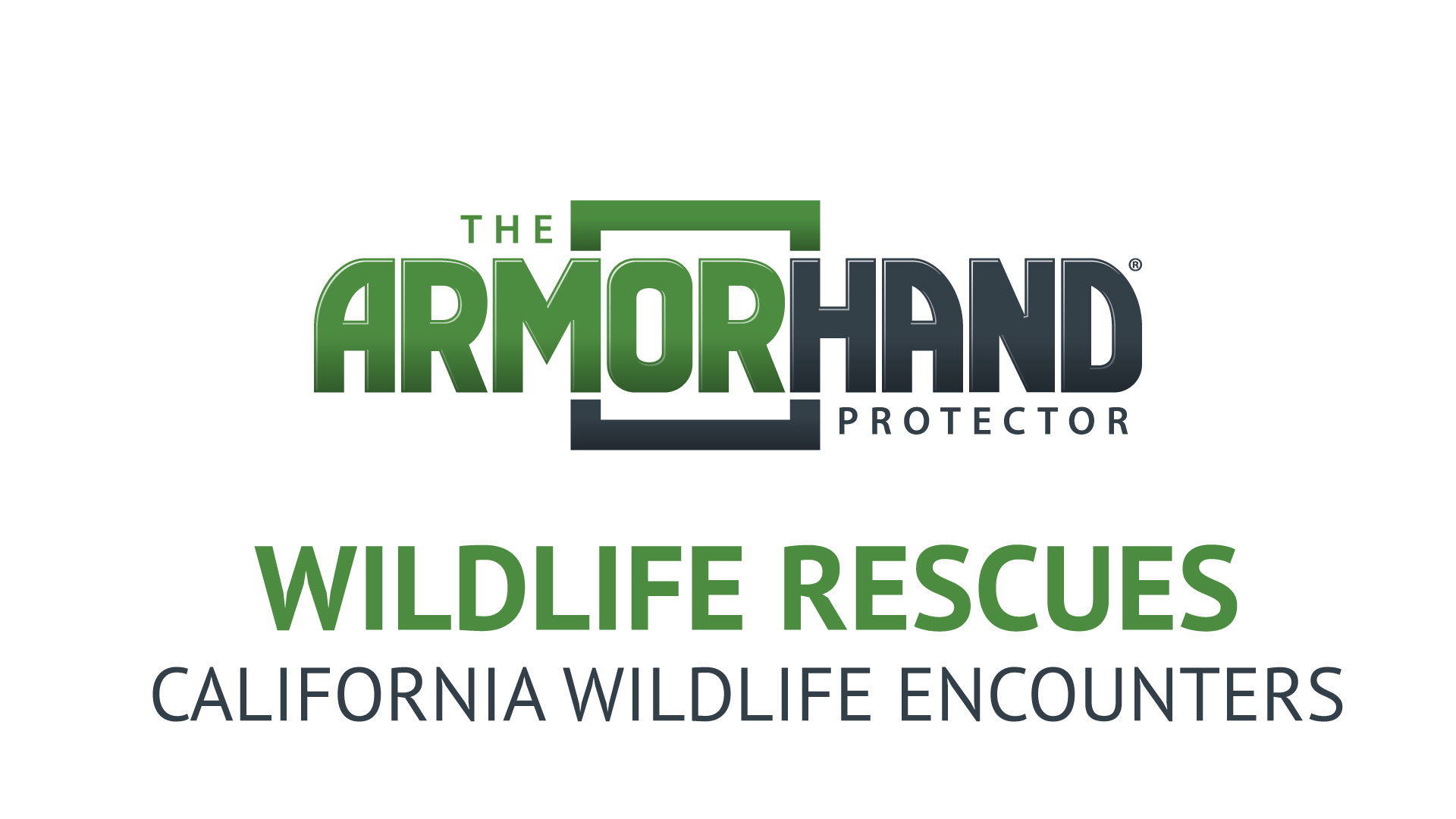 wildlife rescues with california wildlife encounters