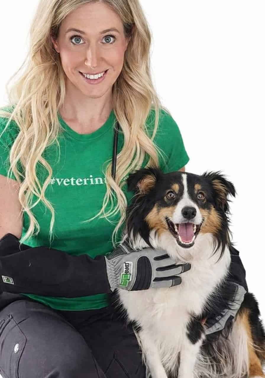 dr larua catena armor hand glove
